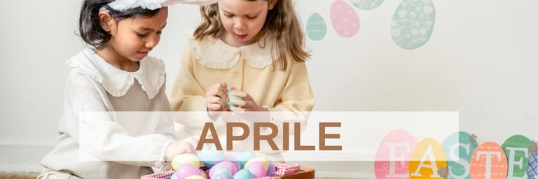 489736084 1186132306850918 6908225021625590263 N.jpg