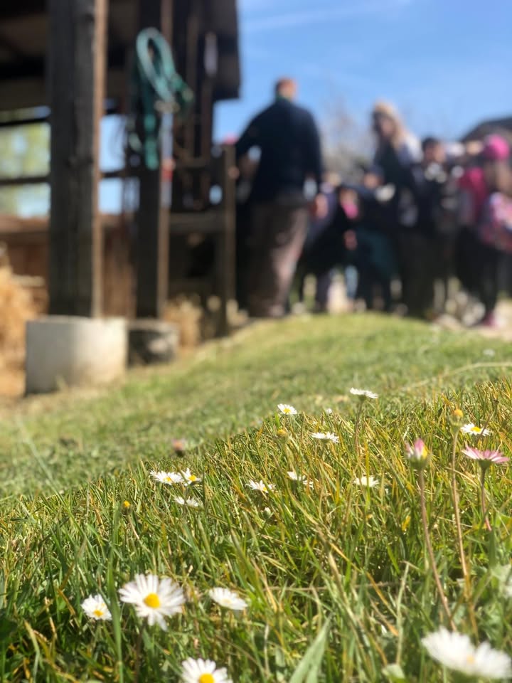 489959554 1196302979167184 4298488049403032609 N.jpg