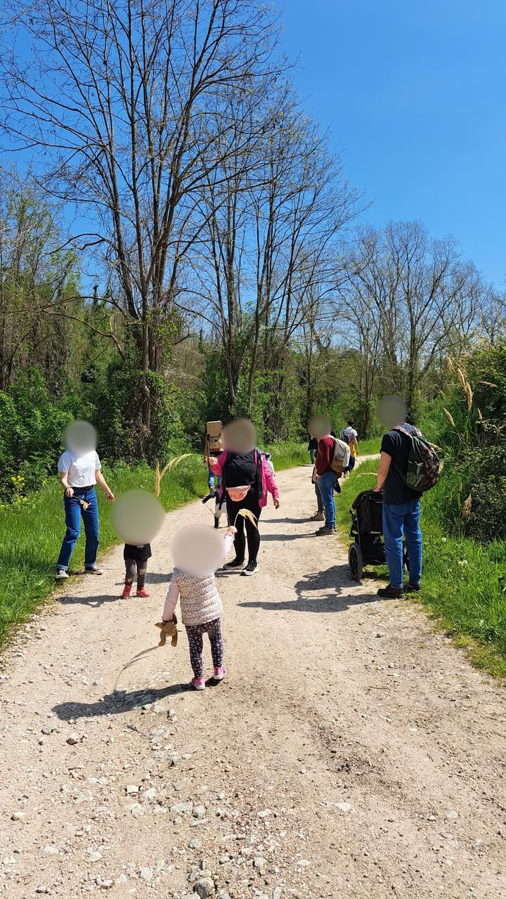 491803105 1196305282500287 6695797482196093889 N.jpg