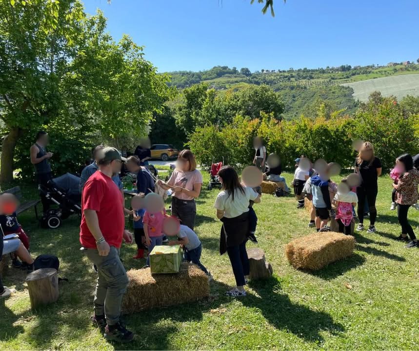 493541547 1227345639396251 4433450577391088480 N.jpg