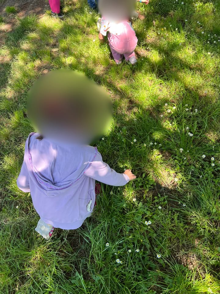 497511672 1215819553882193 3621496738451117936 N.jpg