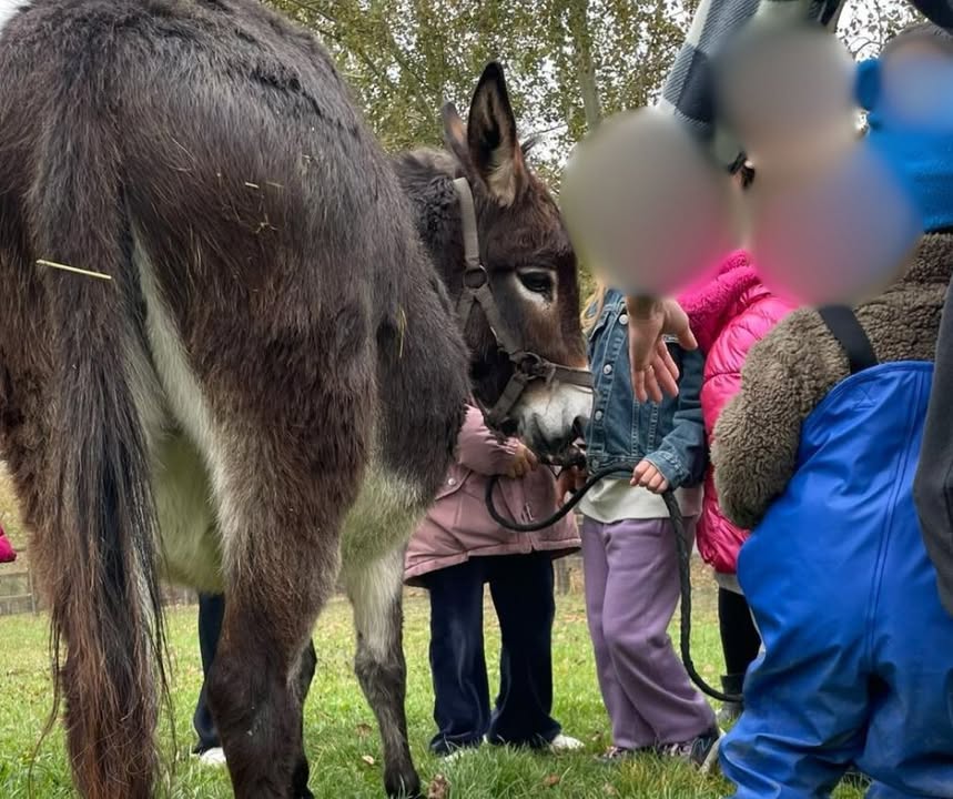 580838895 1376801147784032 4486469572307954017 N.jpg